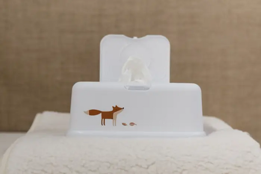FUNKYBOX recipient pentru șervețele umede cu capac rabatabil 12,5 x 22 x 8,5 cm