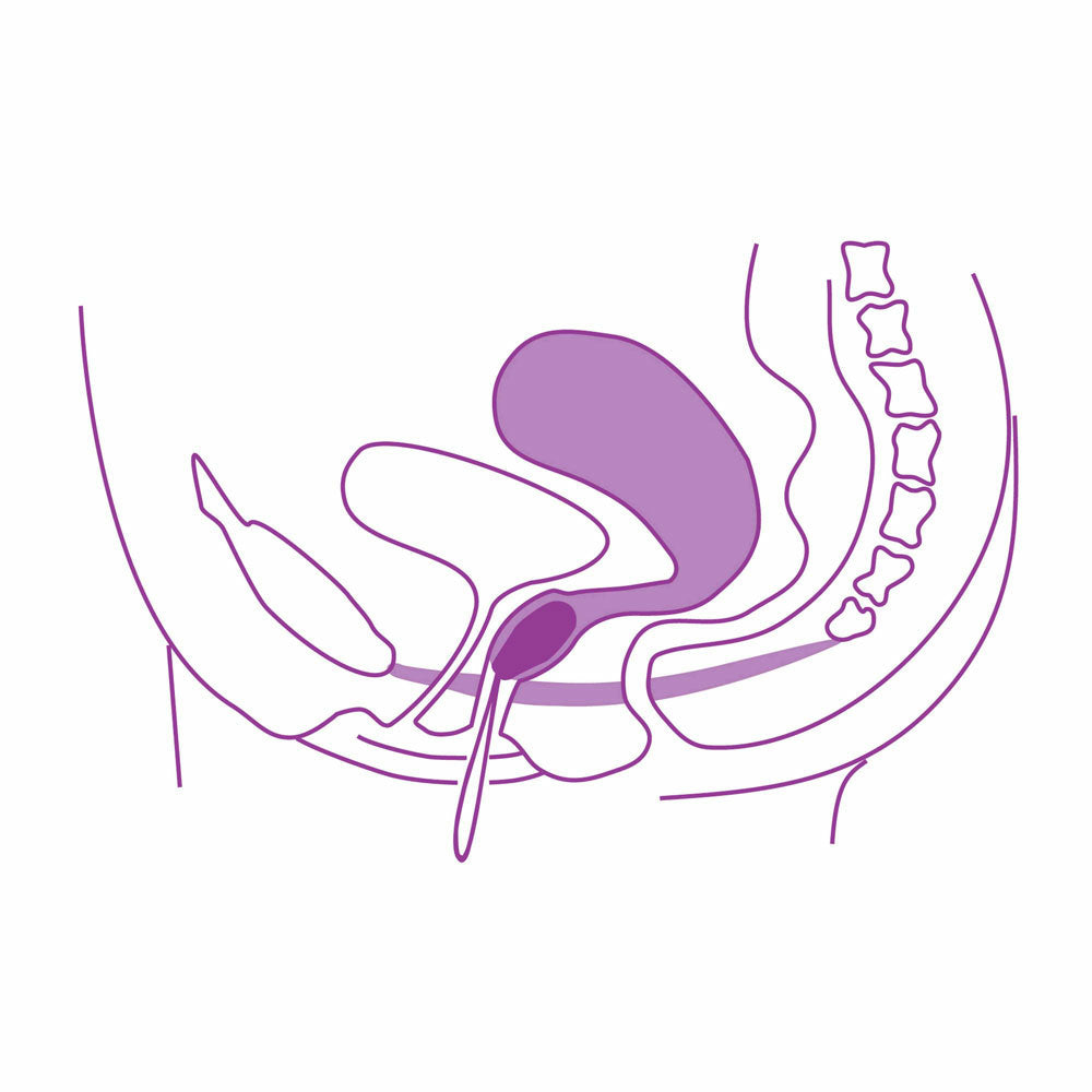 ELANEE insert antrenament vaginal PODEA PELVINĂ faza II