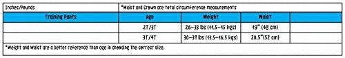 ZOOCCHINI chiloți de antrenament 3-4 ani ORGANIC