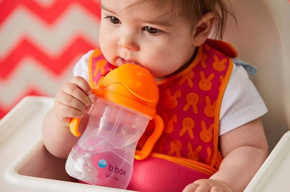 B.BOX Sippy Cup cană anti-vărsare 240 ml 6 luni+