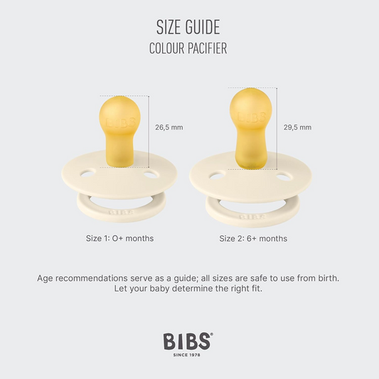 BIBS COLOUR STUDIO πιπίλες 2τμχ καουτσούκ 0-6 μηνών