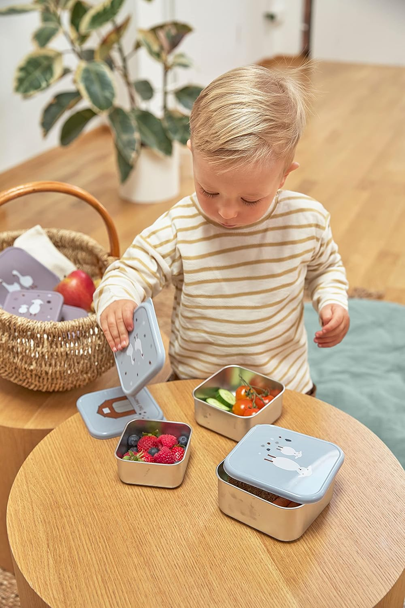 LASSIG Snackbox cutii din oțel pentru gustări x3