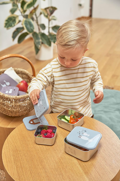 LASSIG Snackbox cutii din oțel pentru gustări x3