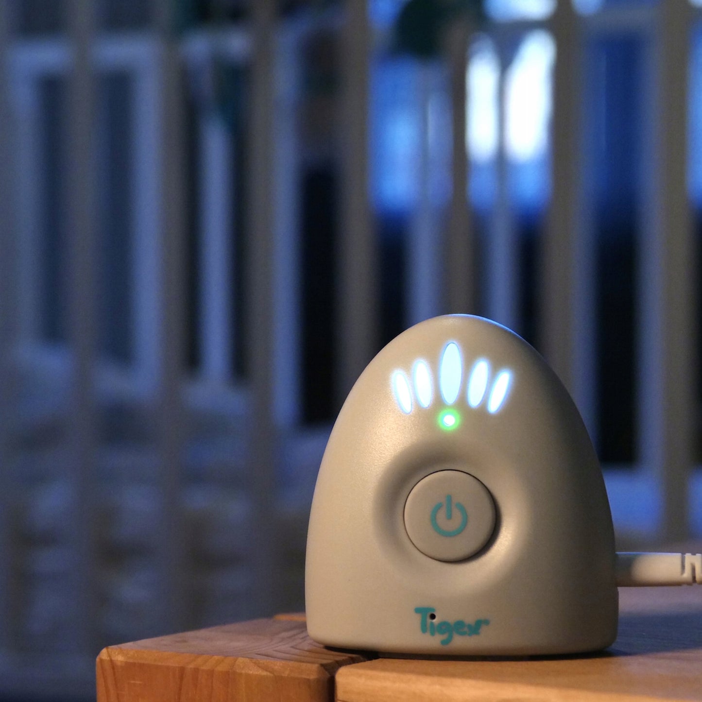 TIGEX Easy Protect Plus digital electronic nanny