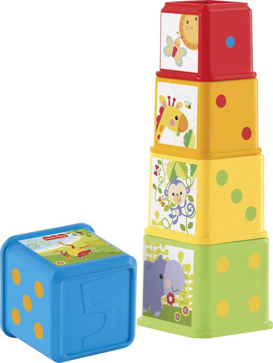 FISHER-PRICE Stack & Explore Blocks cuburi de diferite dimensiuni 5 bucăți