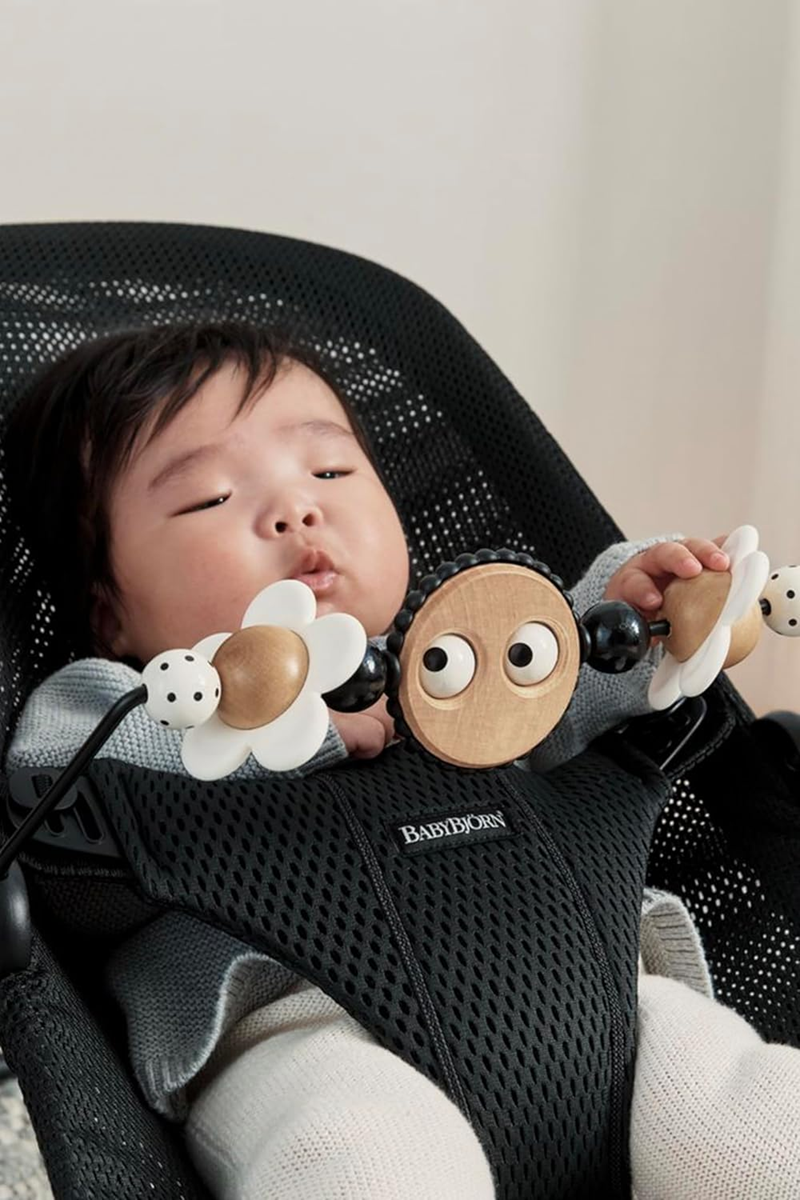 BABYBJORN boog met speelgoed voor wipstoel 31 cm