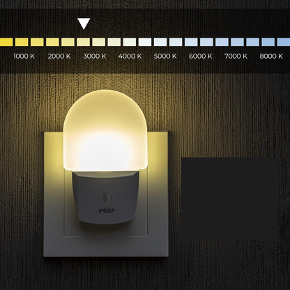 REER NightGuide lampă de veghe LED pentru priză, senzor de întuneric 6 x 9,5 cm