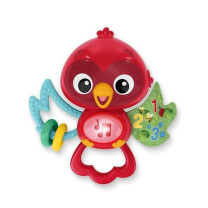Baby Einstein Roxy musical toy
