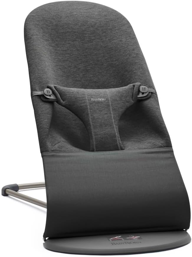 BABYBJÖRN 2-in-1 bouncer, rocker, chair