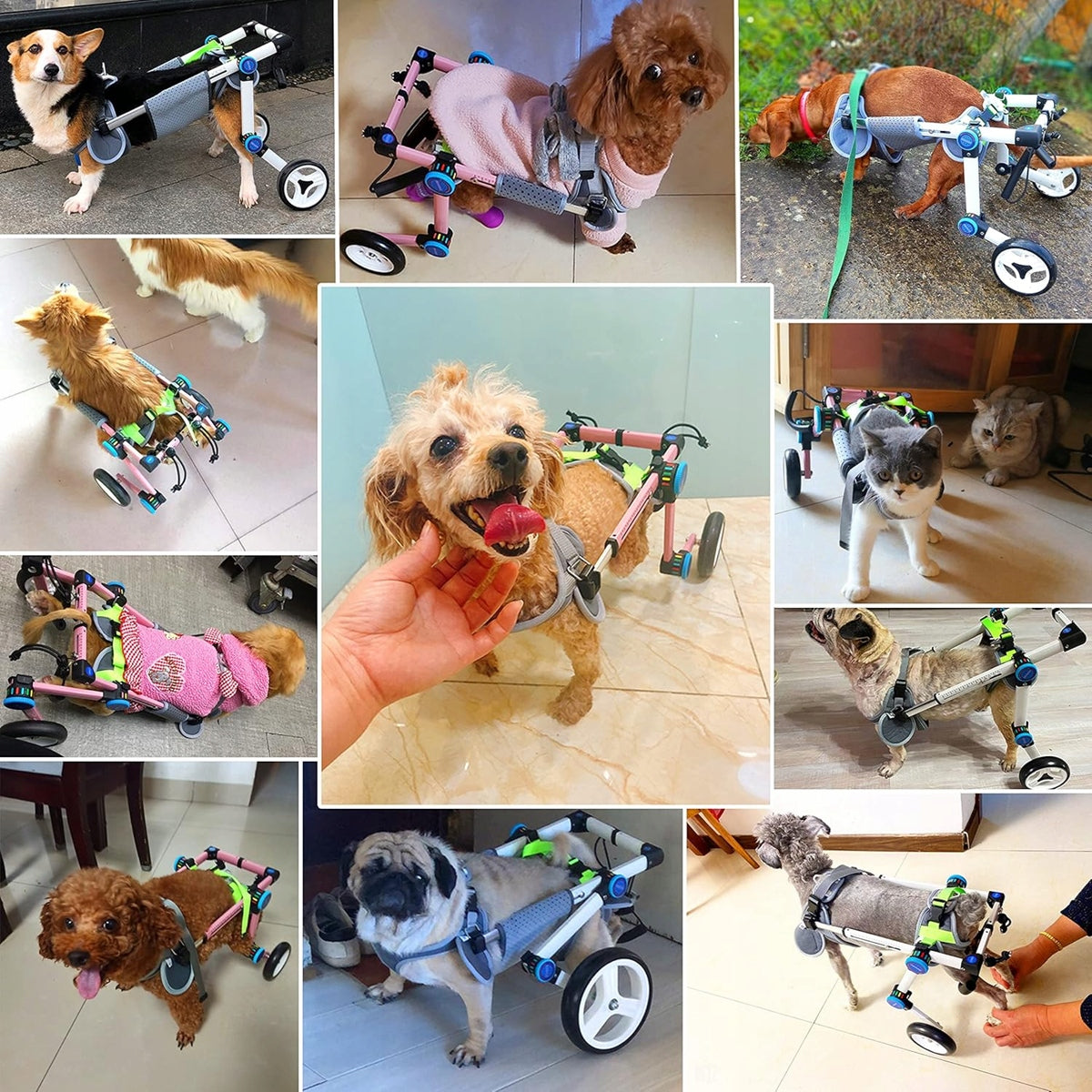 HOBEY HOVE wheelchair for dogs