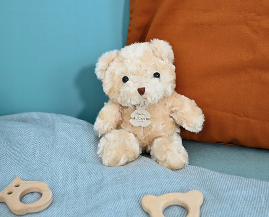 HISTOIRE de'OURS pluș ursuleț 21 cm