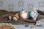 INNOGIO GIO-881 jucărie de pluș cu lumină și 10 sunete MAIMUȚA LUCY 35 cm