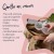 TOMMEE TIPPEE Made for Me colector din silicon