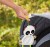 FISHER-PRICE FGH91 jucărie de agățat cu zornăitoare pentru cărucior, scaun auto 37 cm PANDA
