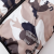 a49e1011340c3d022a243b0846e6740e.png