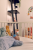 06e46a894a18713a7677cca47b5c8893.png