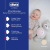 CHICCO First Dreams ursuleț PROIECTOR lampă sunete