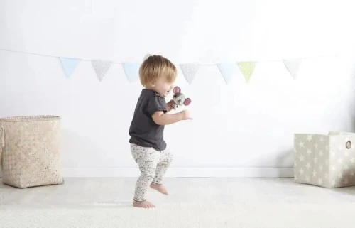 TINY LOVE wonder buddies ȘOARECELE COCO