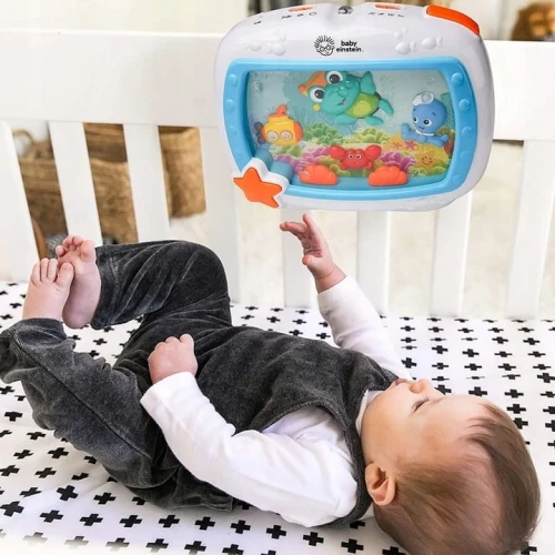 BABY EINSTEIN Vise Marine CARUSEL MUZICAL + TELECOMANDĂ