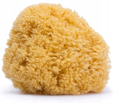 b8f170bdc13c2a236d6ec06f5da25b66.jpg