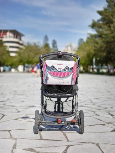 Geantă pentru cărucior BABYMOOV BABY CHIC + salteluță de înfășat